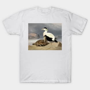 Kaksi Haahkaa by Ferdinand von Wright T-Shirt